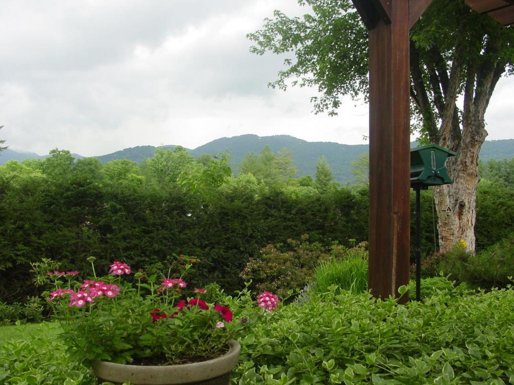 ווינסוויל Brookside Mountain Mist Inn מראה חיצוני תמונה